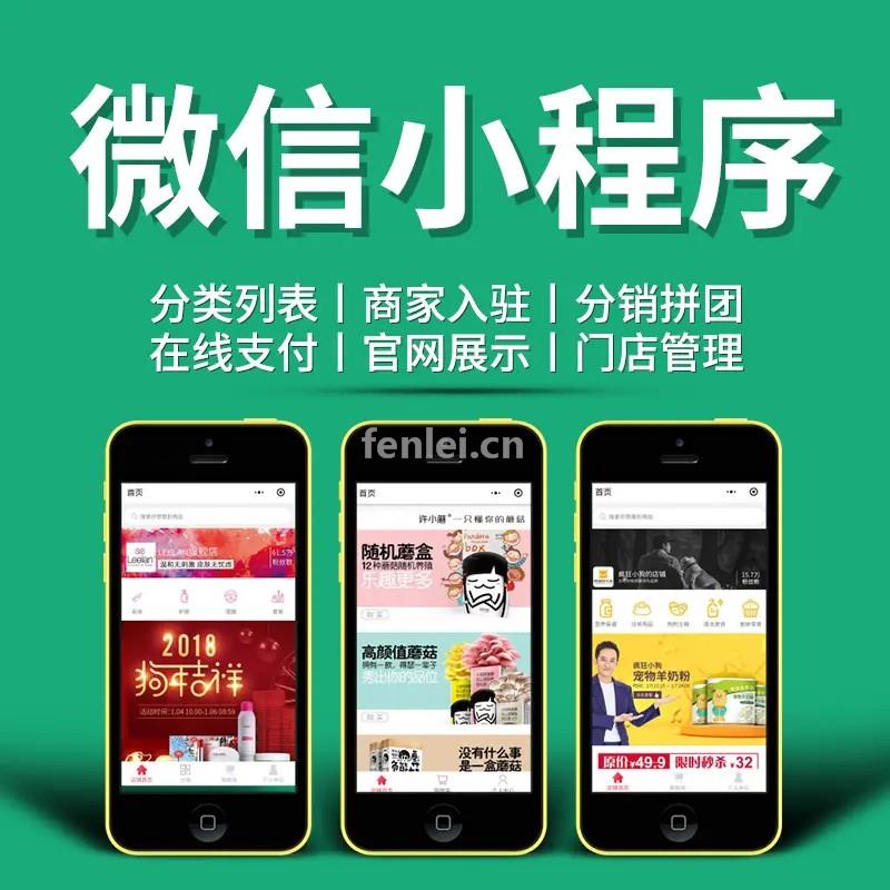 小程序开发app开发(小程序开发APP)