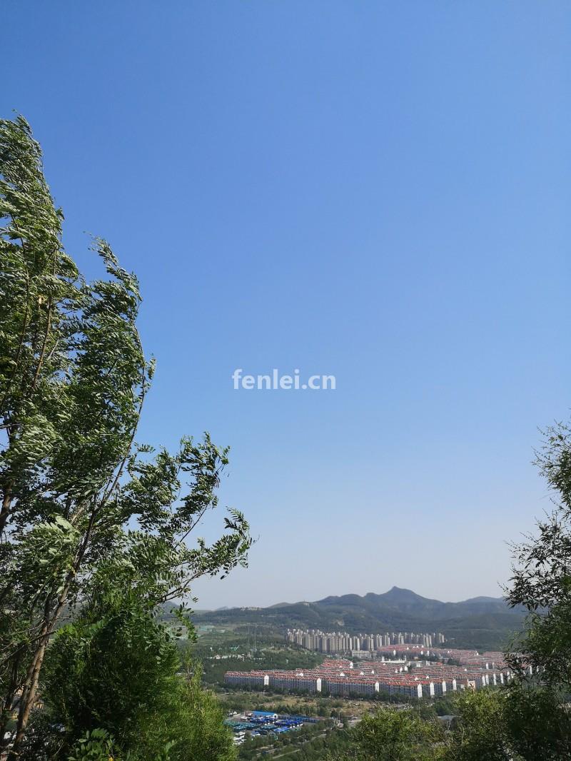 捷达手动陪练(捷达新款教练车)